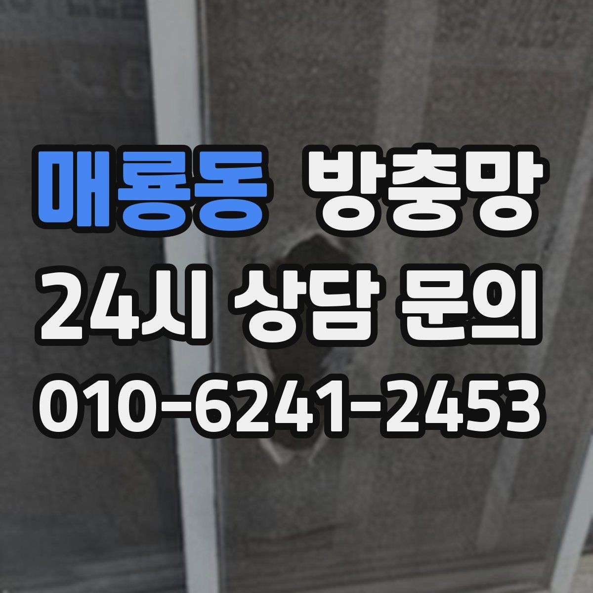 매룡동 방충망 모기가 들어오는 집은 눈 크기부터 봅니다
