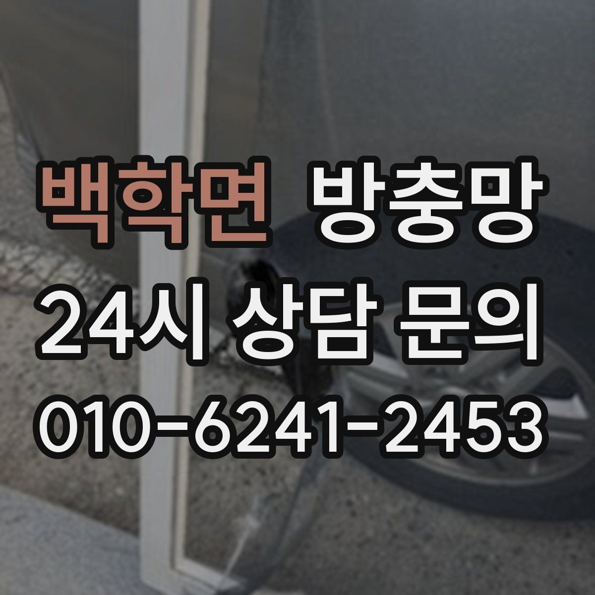 백학면 방충망 교체로 생활 위생과 쾌적함을 되찾는 방법