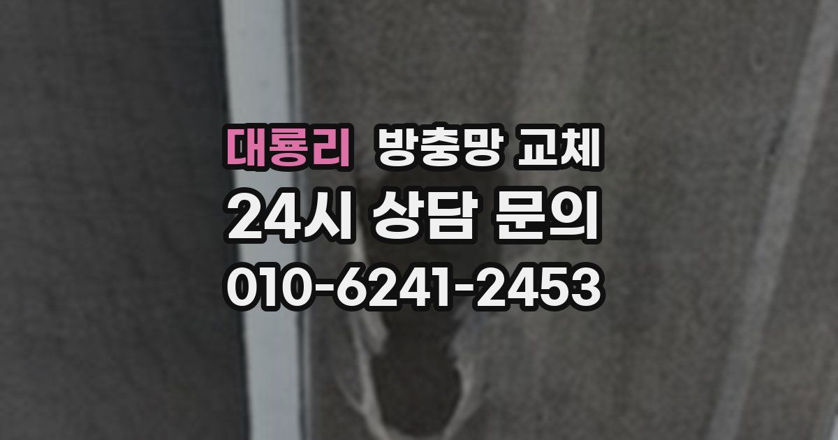 대룡리 방충망 교체