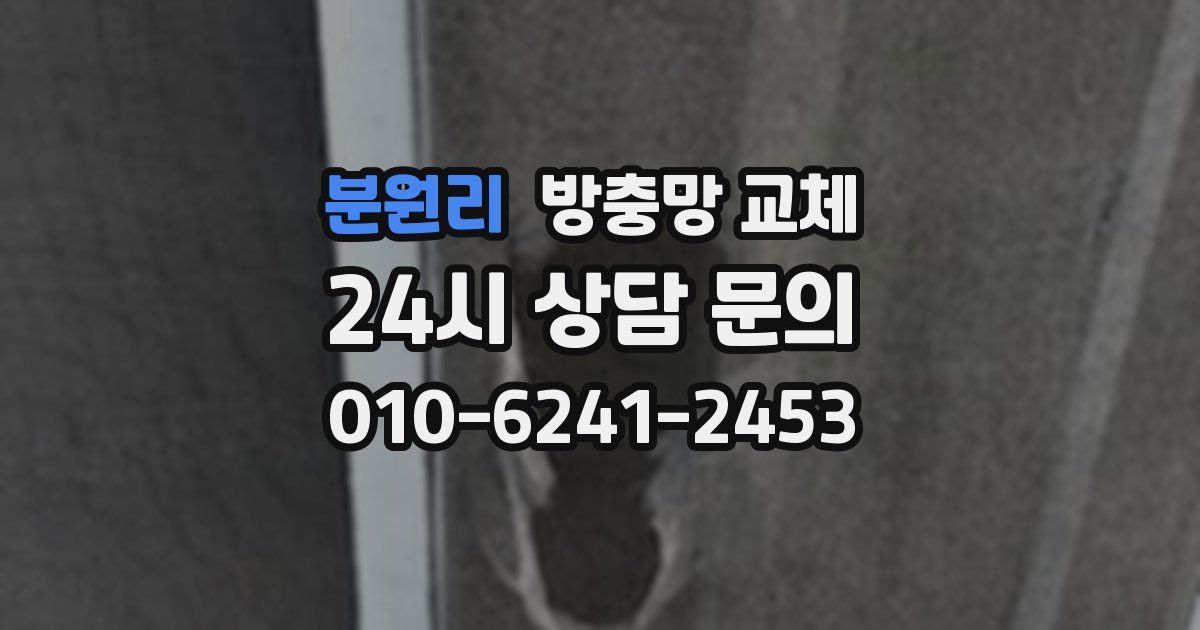 분원리 방충망 교체
