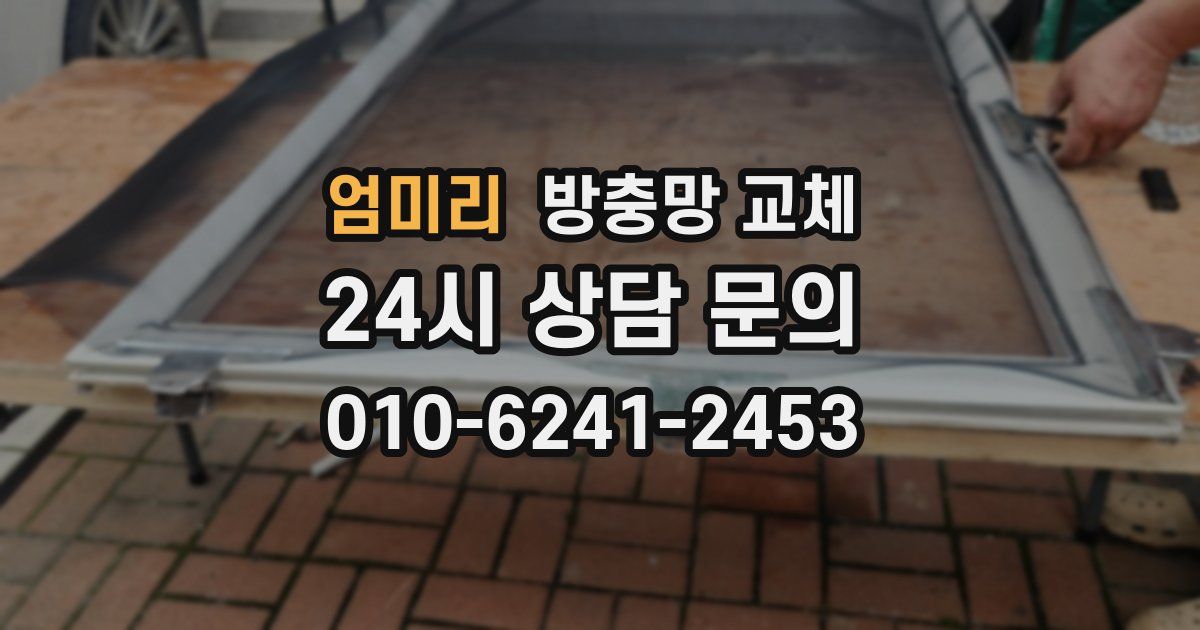 엄미리 방충망 교체