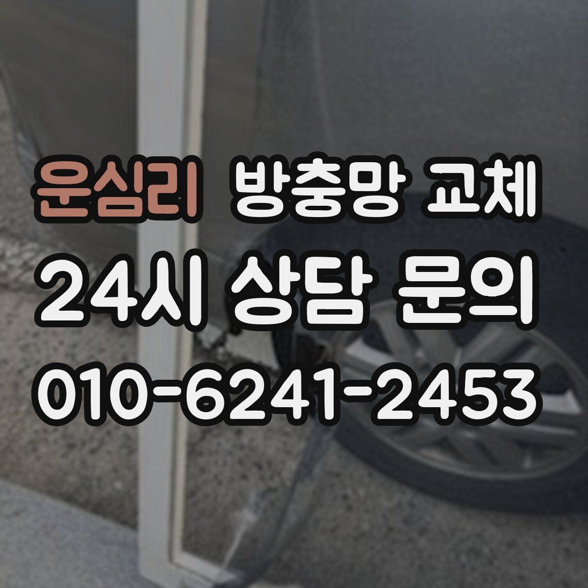 운심리 방충망 교체