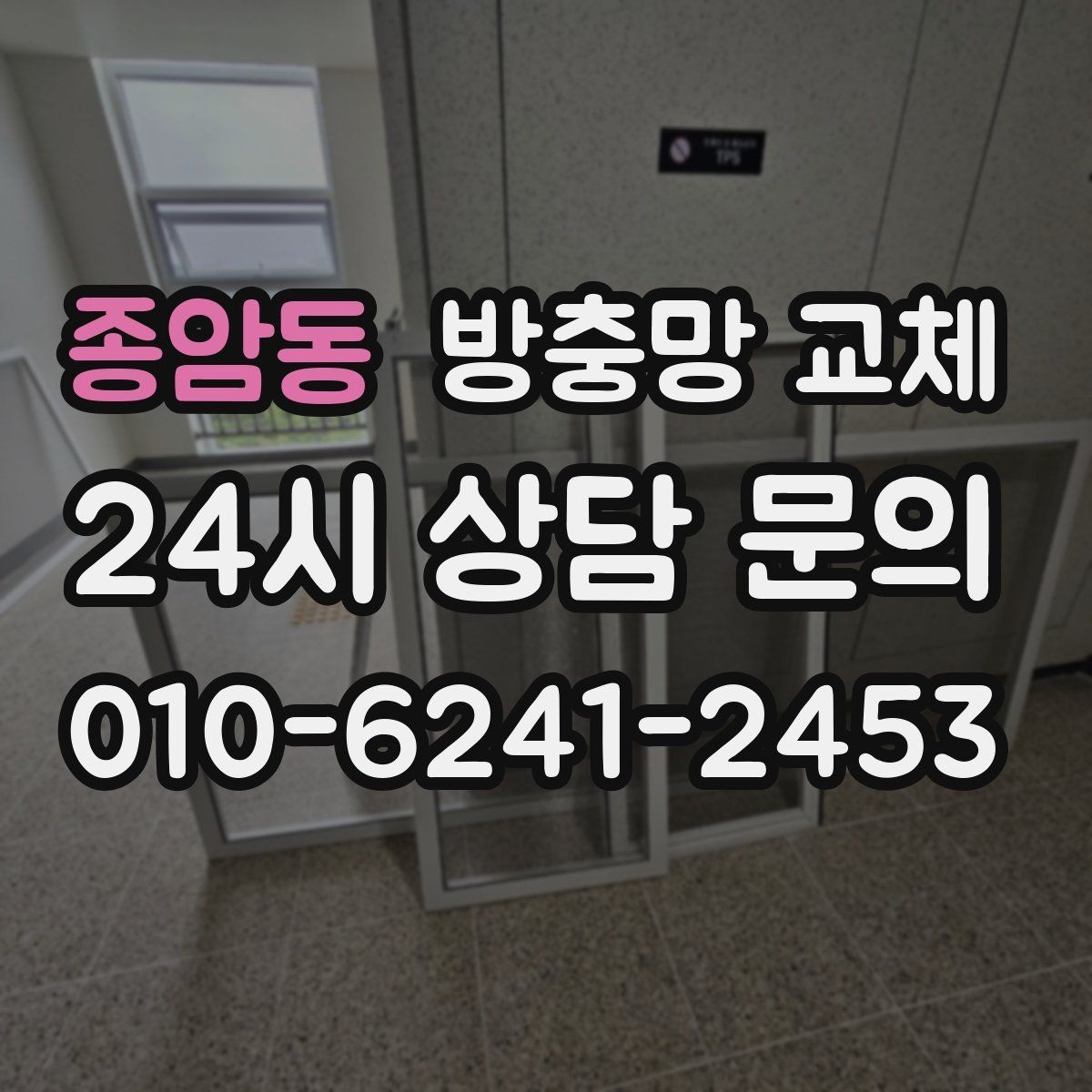종암동 방충망 교체 주방 음식 냄새 때문에 초파리가 늘었다면