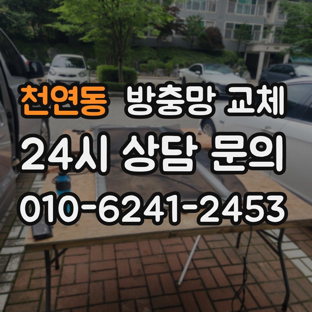 천연동 방충망 교체 주방 음식 냄새 때문에 초파리가 늘었다면