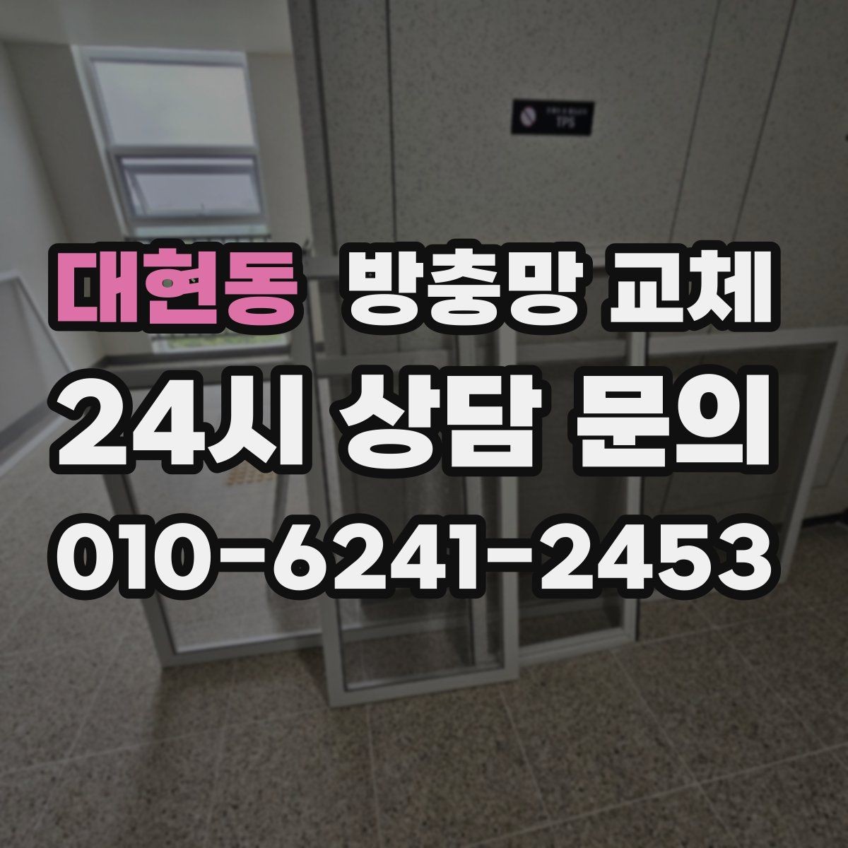 대현동 방충망 교체 조명 켜면 벌레가 몰리는 창가 해결