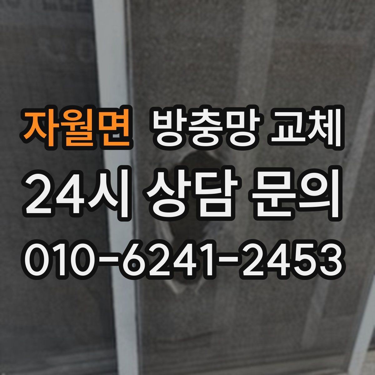 자월면 방충망 교체 환기하려다 벌레 때문에 포기했다면