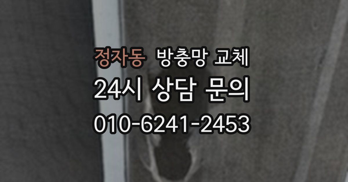 정자동 방충망 교체