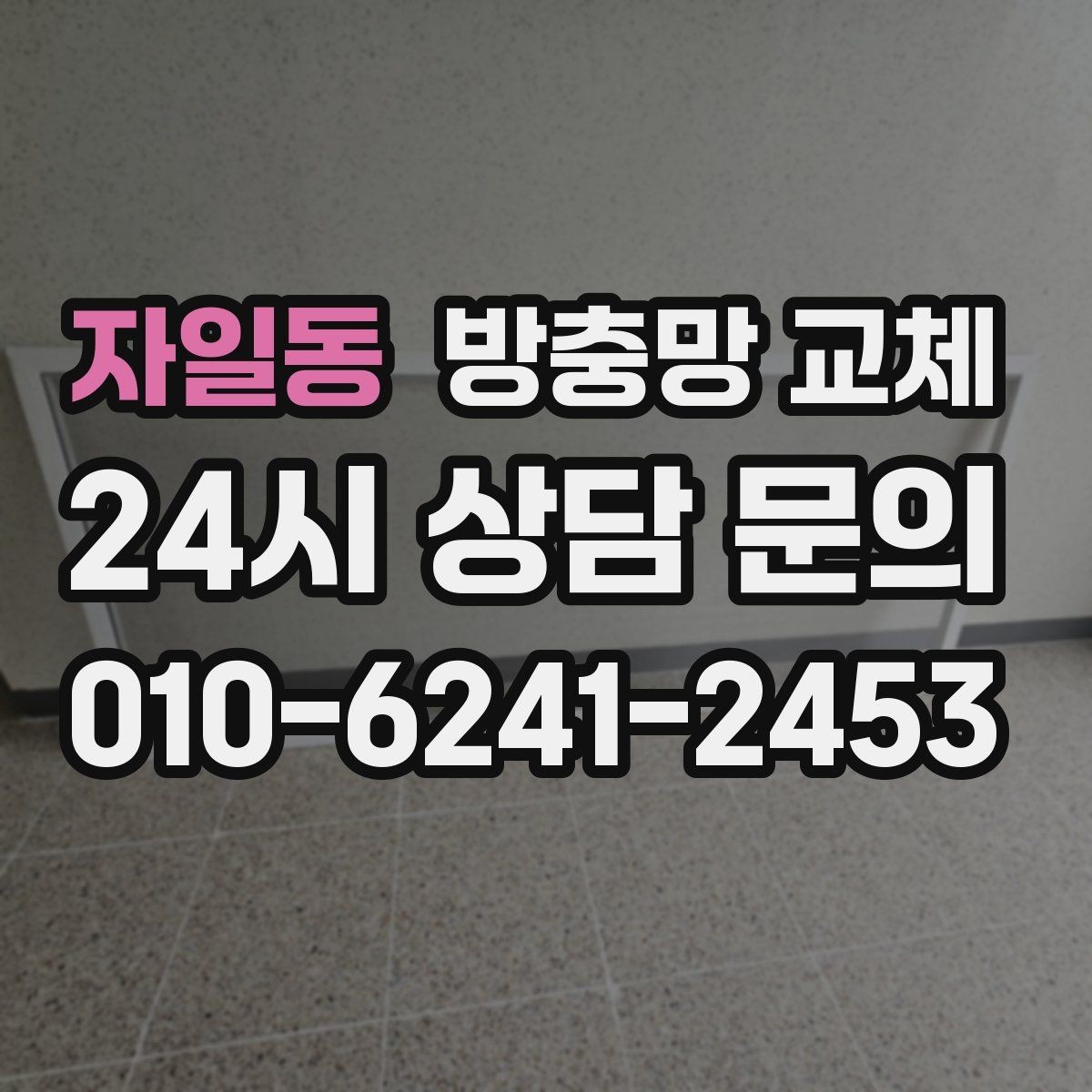자일동 방충망 교체 주변에 나무가 많다면 유입이 늘 수 있어요