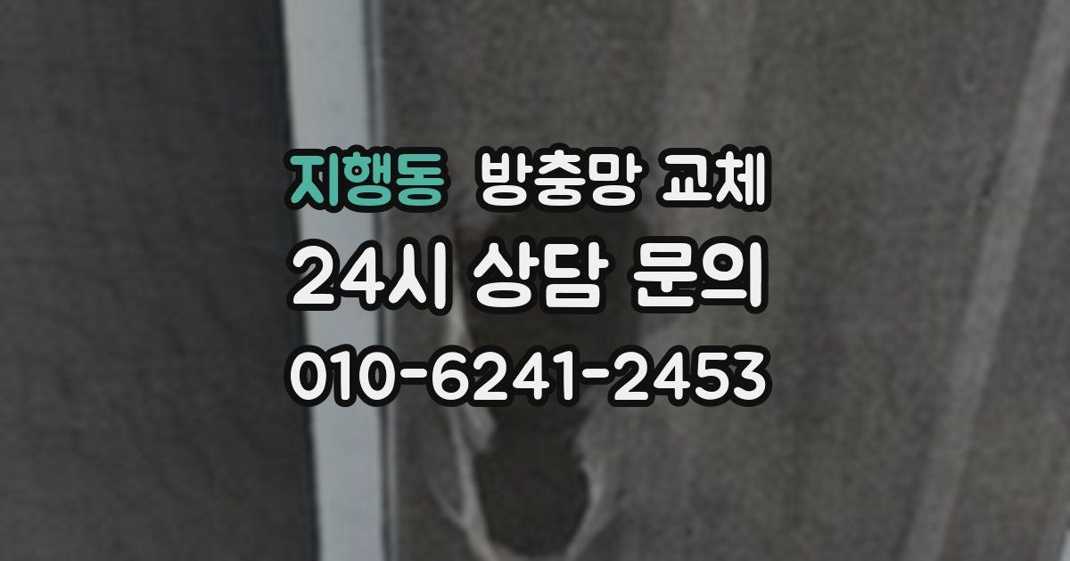 지행동 방충망 교체