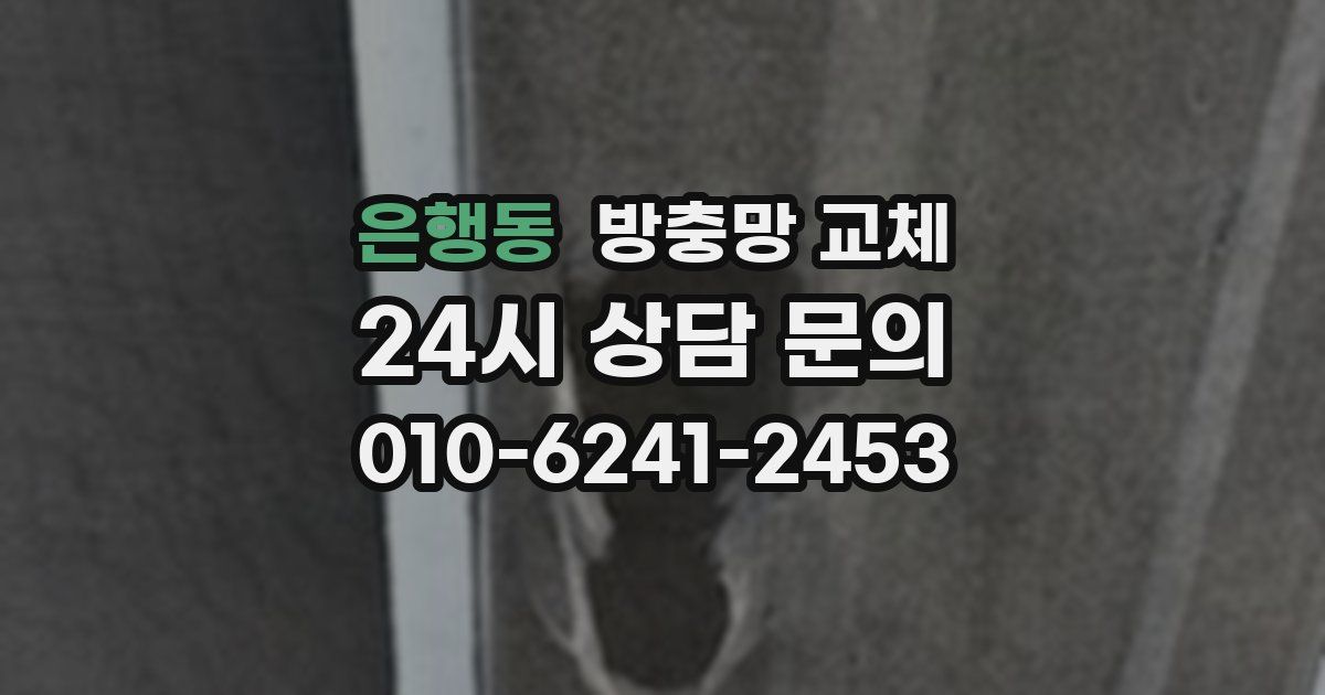 은행동 방충망 교체