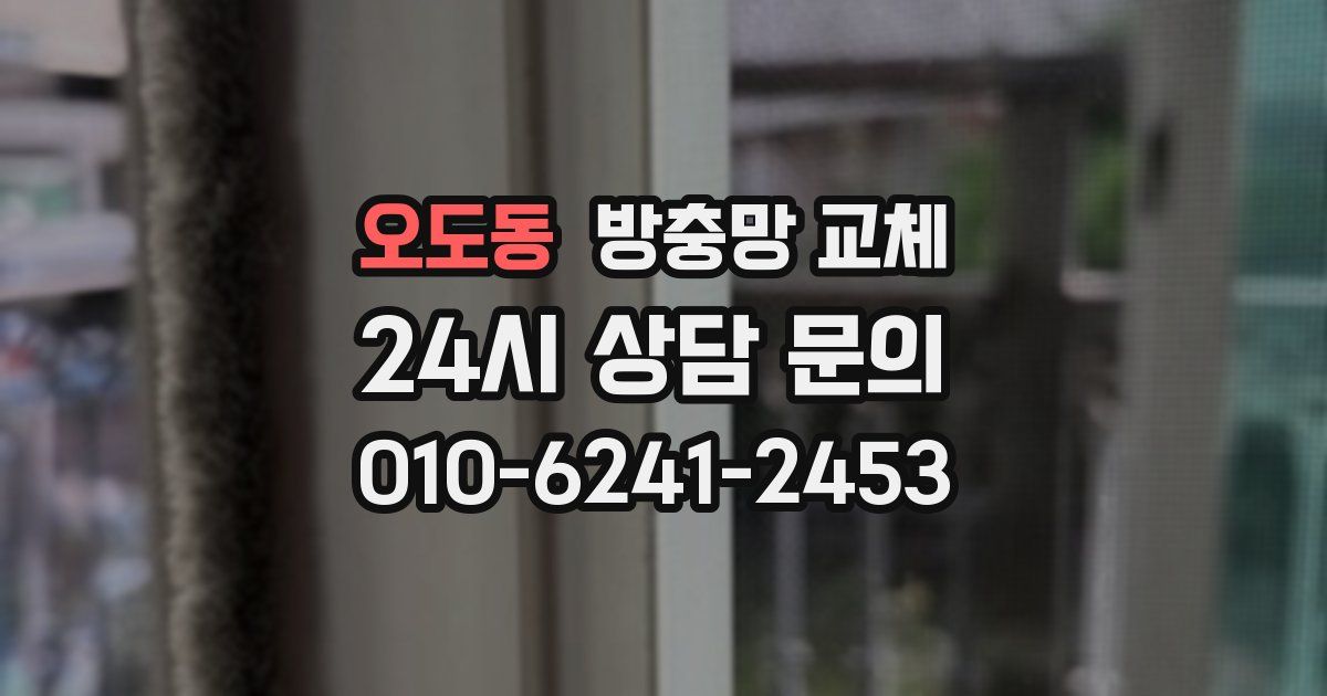 오도동 방충망 교체