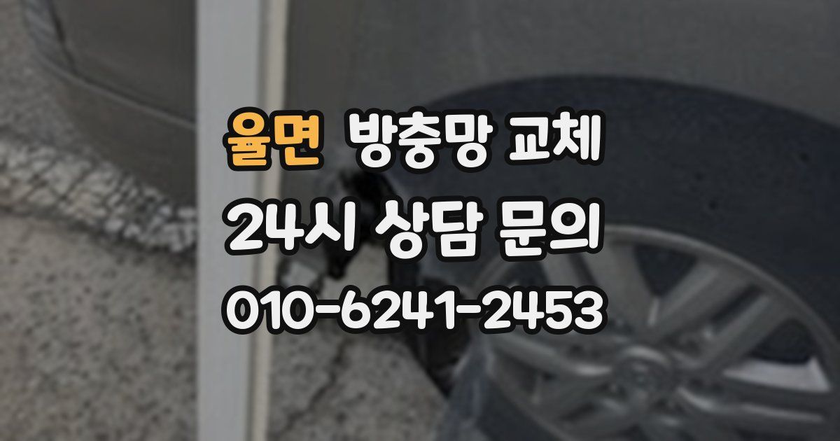 율면 방충망 교체