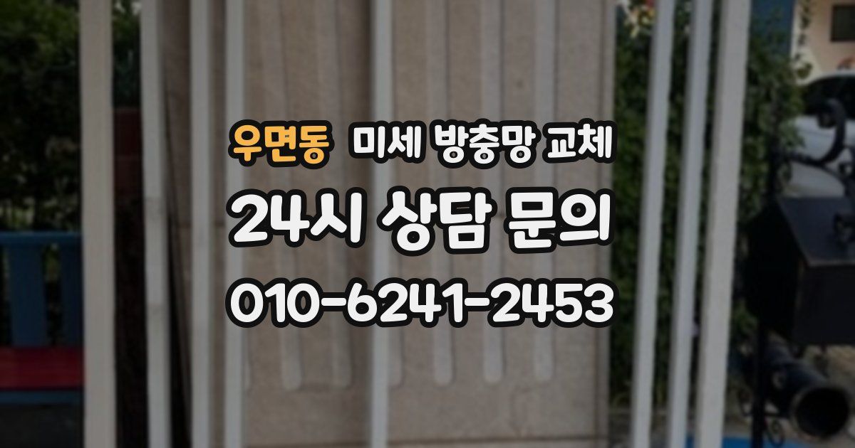 우면동 미세 방충망 교체