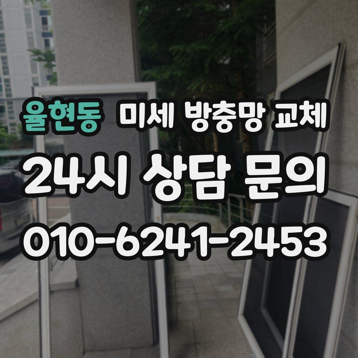 율현동 미세 방충망 교체 식물 키우는 집의 벌레 고민 해결