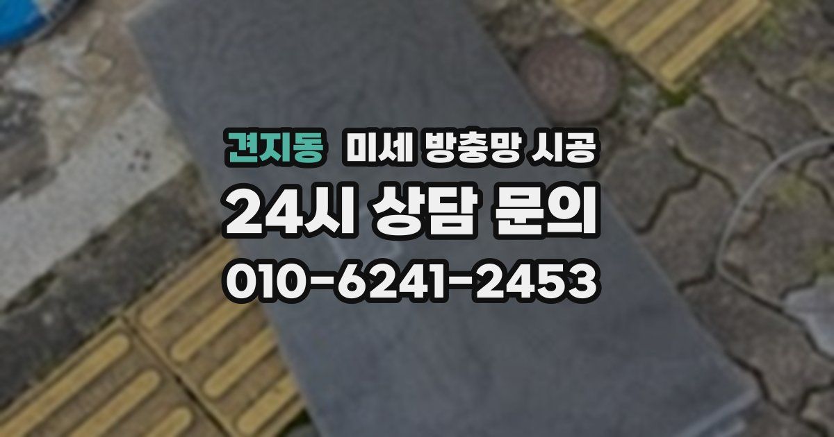 견지동 미세 방충망 시공