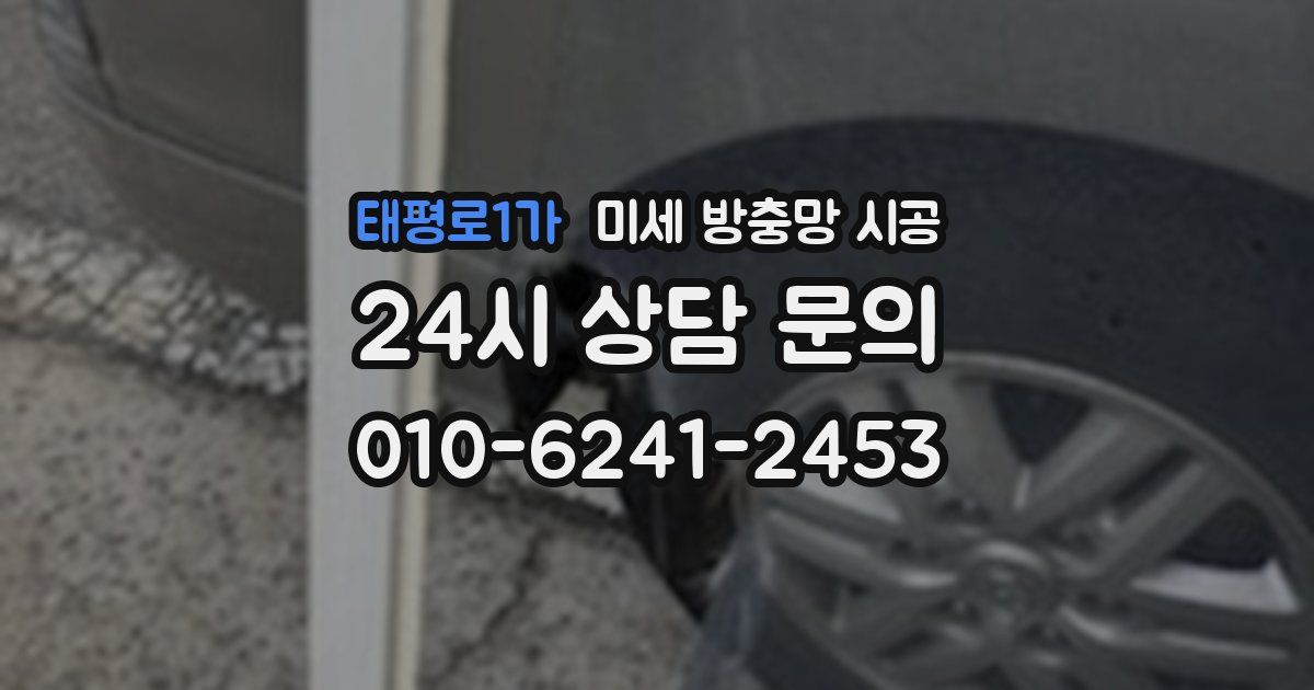태평로1가 미세 방충망 시공