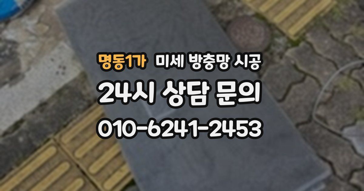 명동1가 미세 방충망 시공