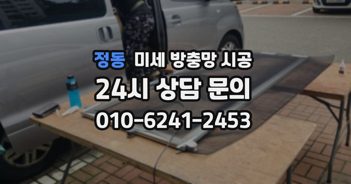 정동 미세 방충망 시공