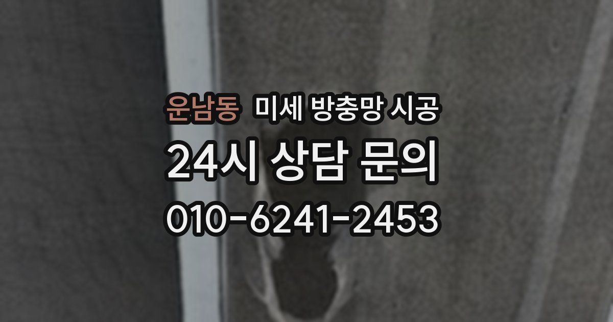 운남동 미세 방충망 시공