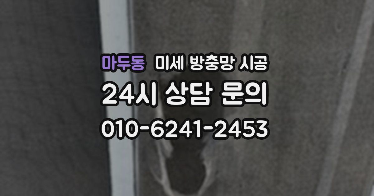 마두동 미세 방충망 시공