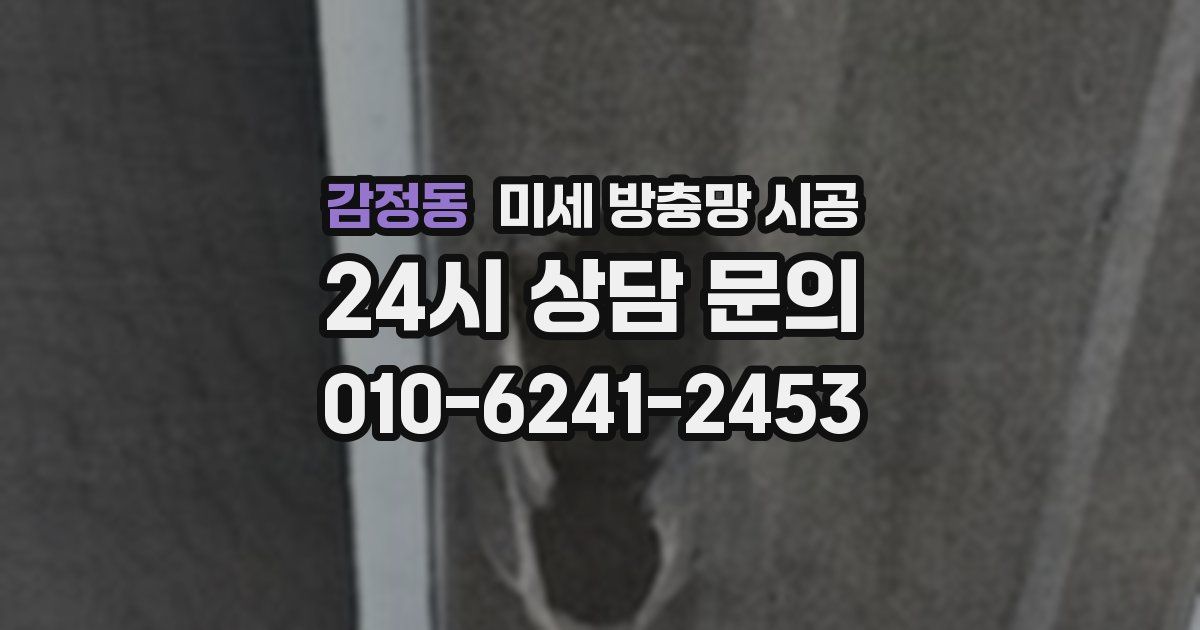 감정동 미세 방충망 시공