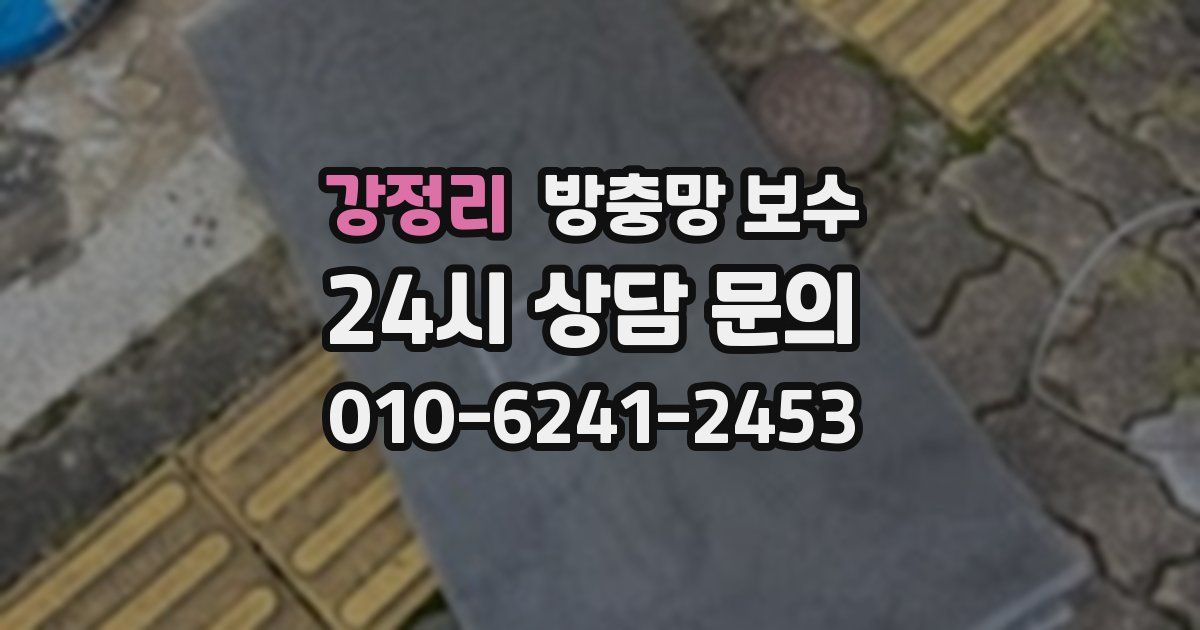 강정리 방충망 보수