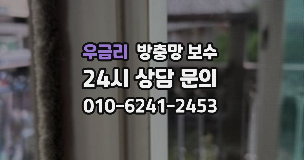 우금리 방충망 보수