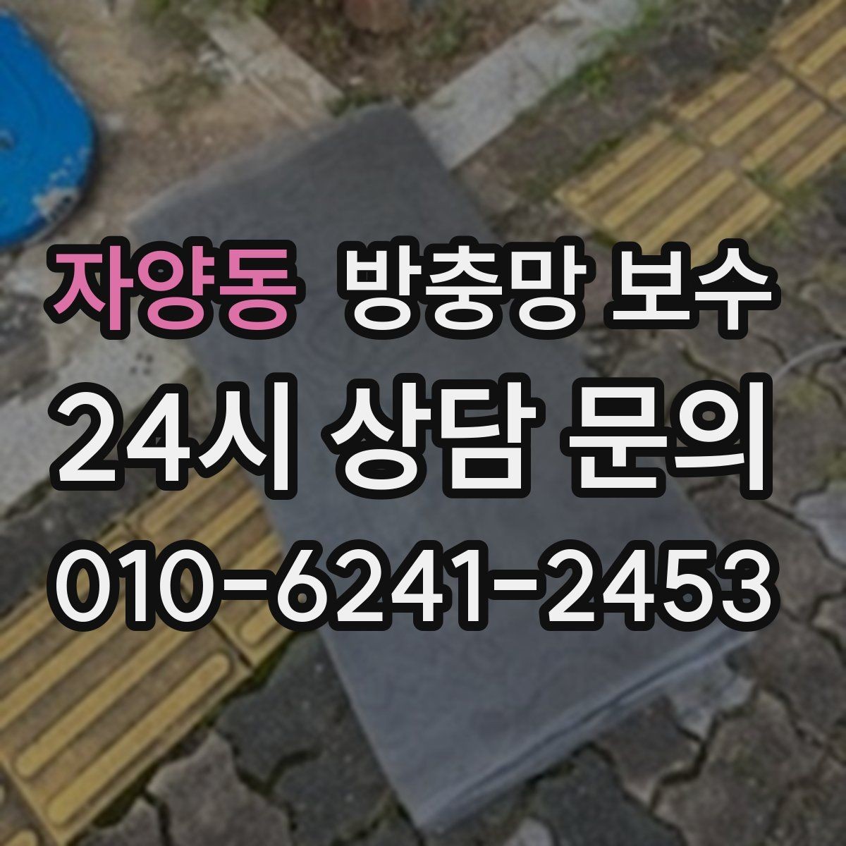 자양동 방충망 보수 시기 놓치기 쉬운 점검 포인트