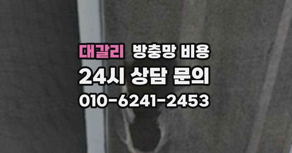 대갈리 방충망 비용