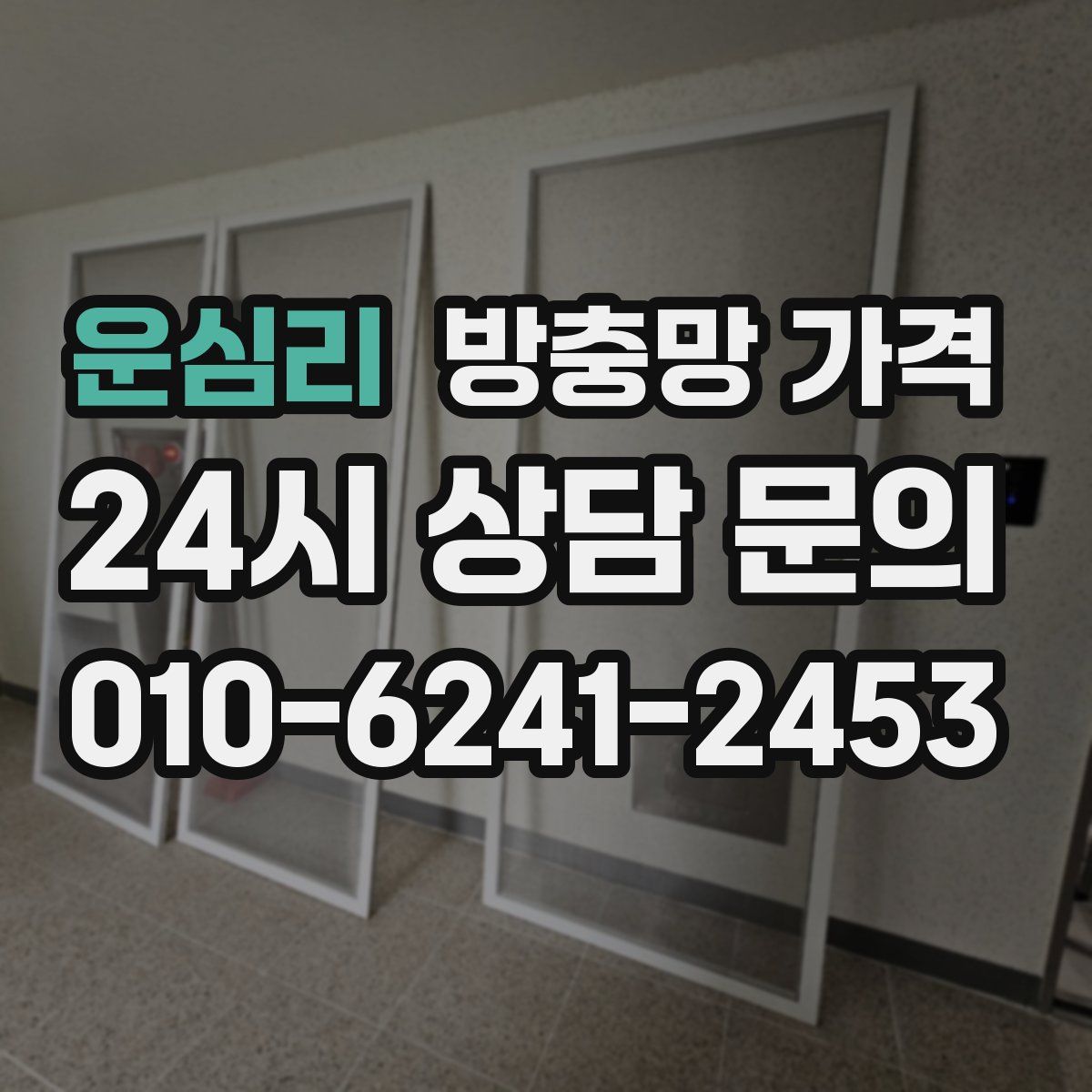 운심리 방충망 가격