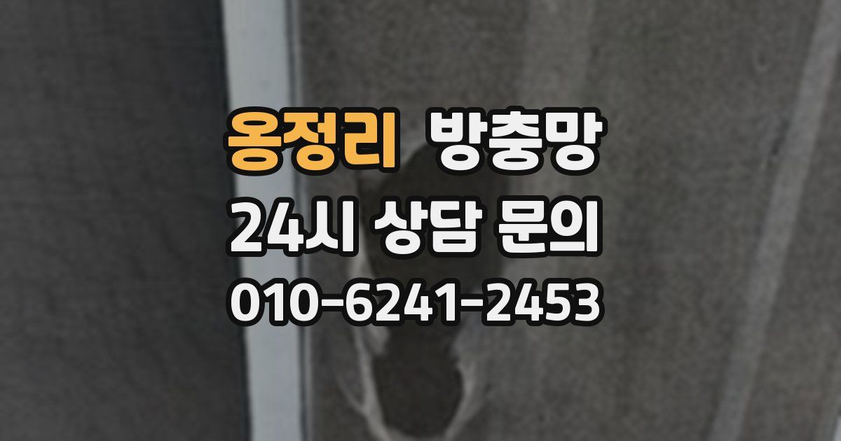 옹정리 방충망