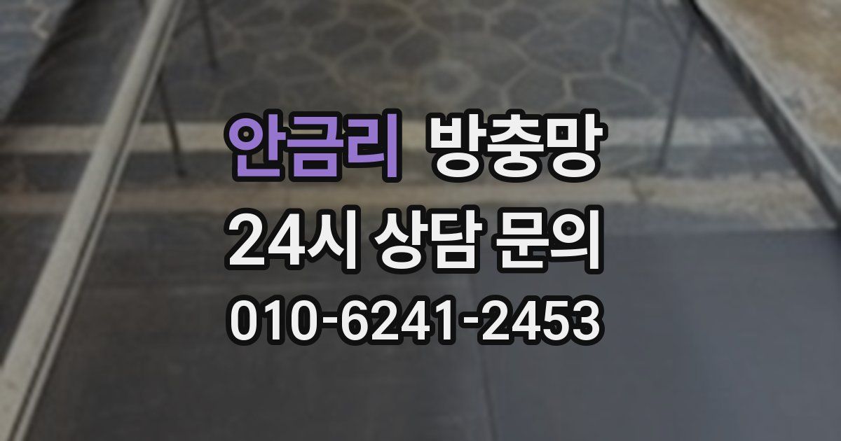 안금리 방충망