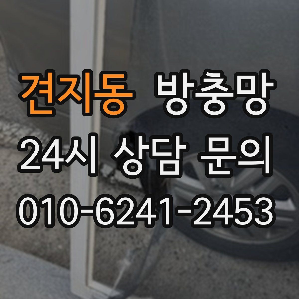 견지동 방충망 방범 방충망이 필요한 집의 특징