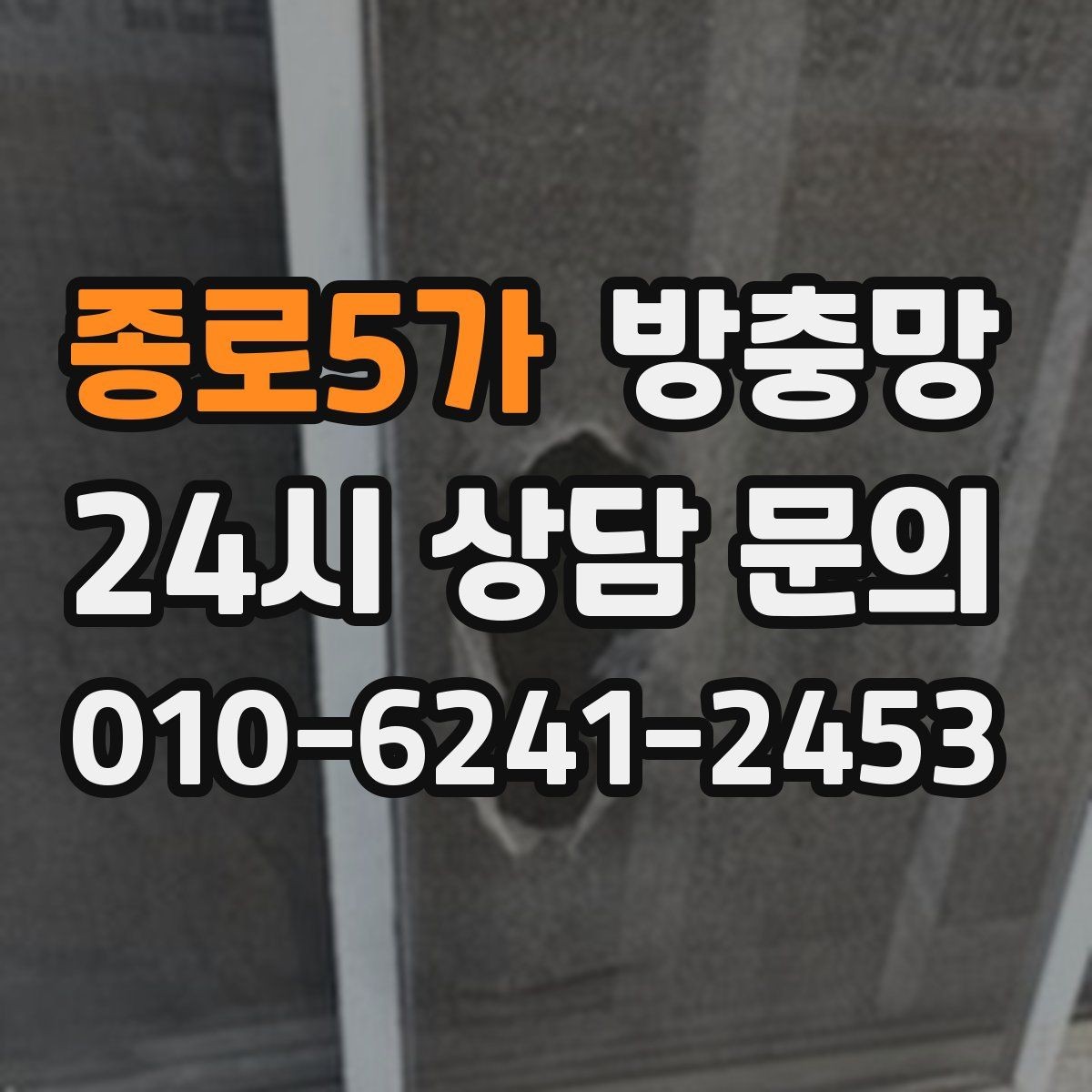 종로5가 방충망 집안 벌레 문제를 근본적으로 줄이는 방법