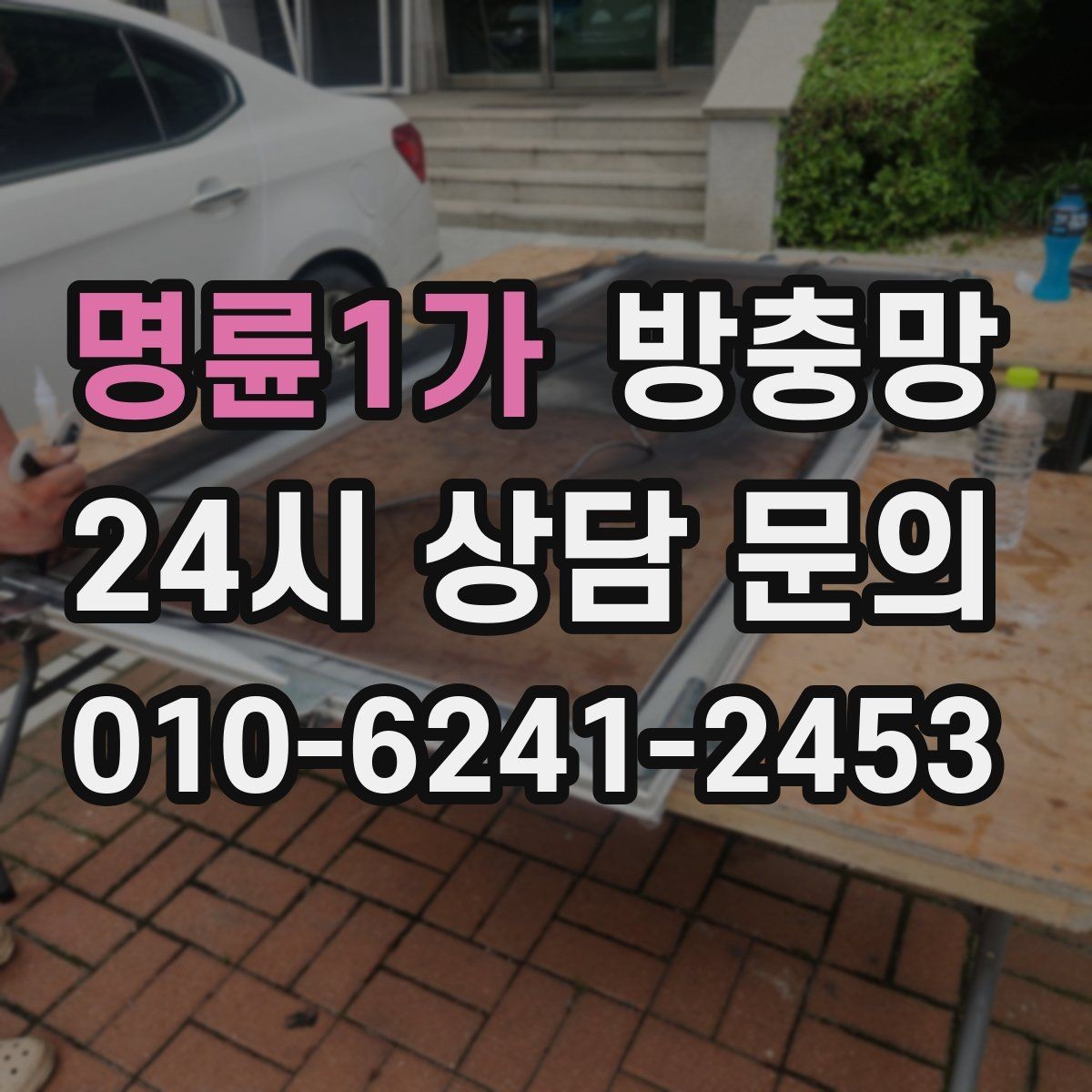 명륜1가 방충망 작은 창도 방치하면 벌레가 들어옵니다