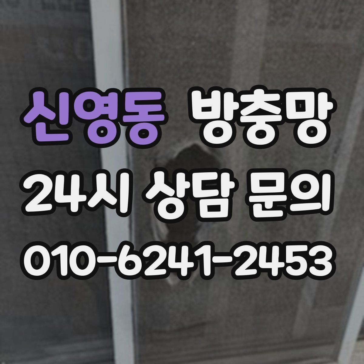 신영동 방충망 방충망이 있어도 벌레가 들어오는 이유 5가지