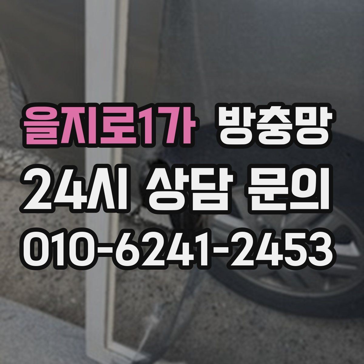 을지로1가 방충망 모서리 틈으로 초파리가 들어오는 경우