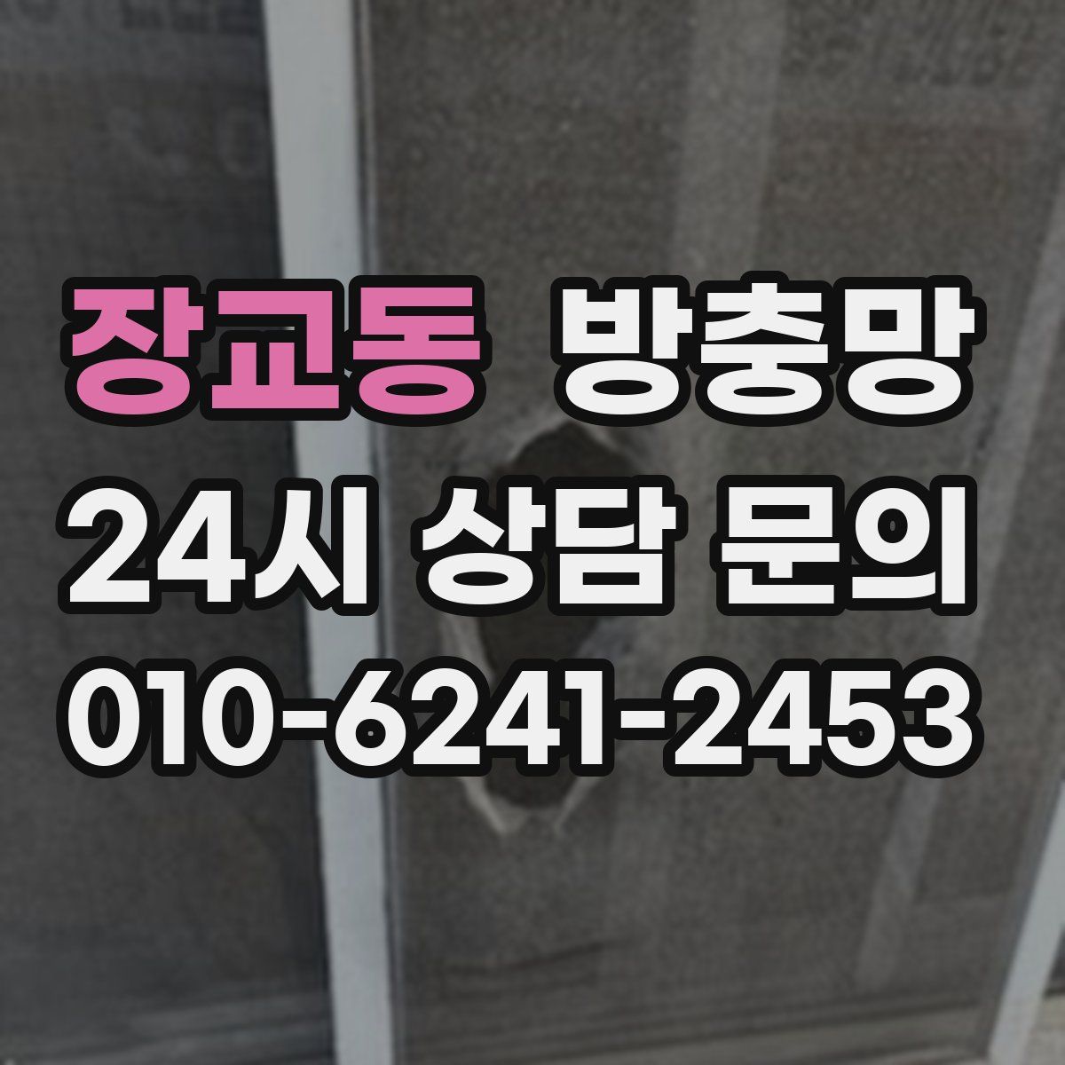 장교동 방충망