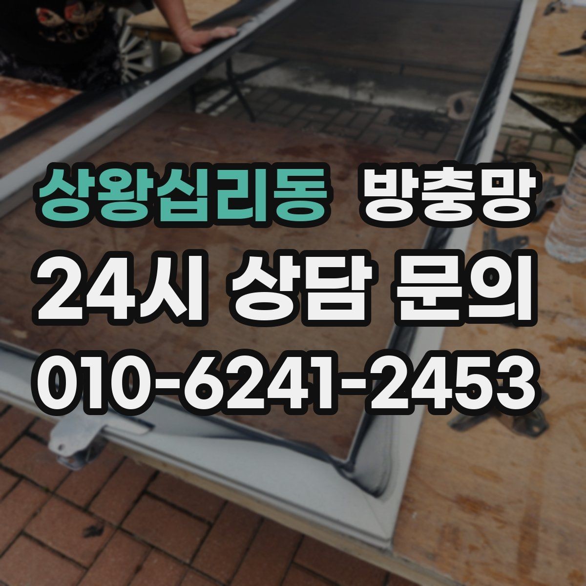 상왕십리동 방충망 냄새 빼려 환기하는데 벌레가 들어온다면