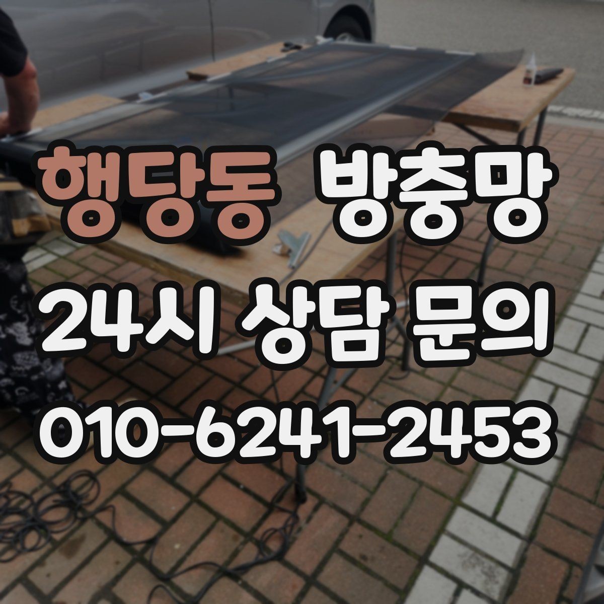 행당동 방충망 날벌레가 창가에 계속 붙는 이유와 해결