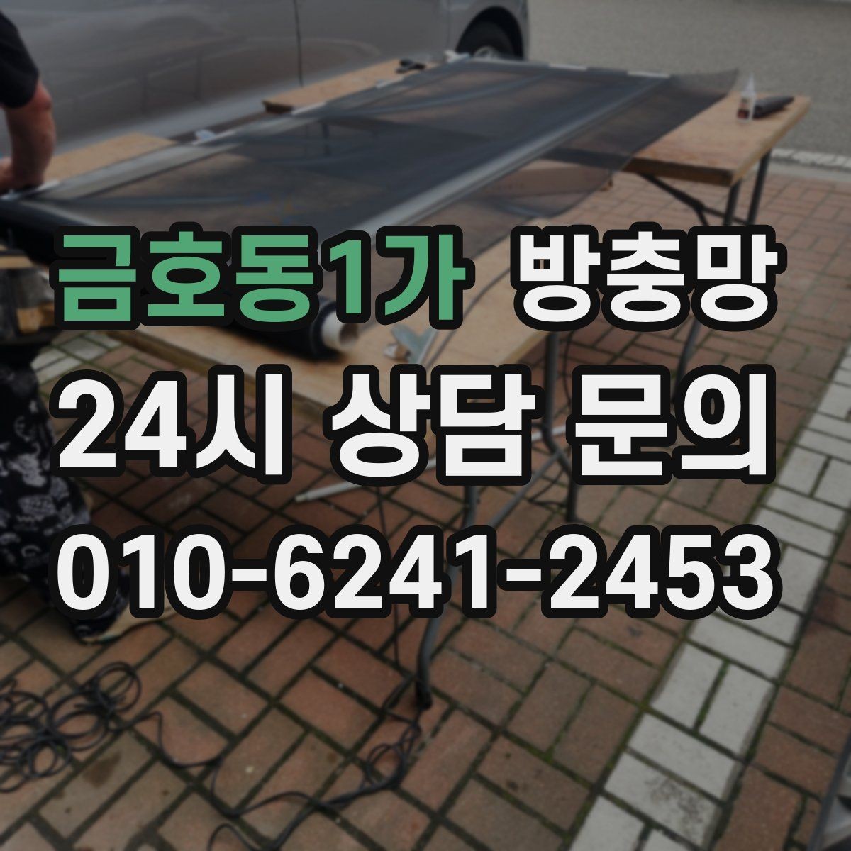 금호동1가 방충망 초파리 늘기 전에 주방 창을 먼저 확인