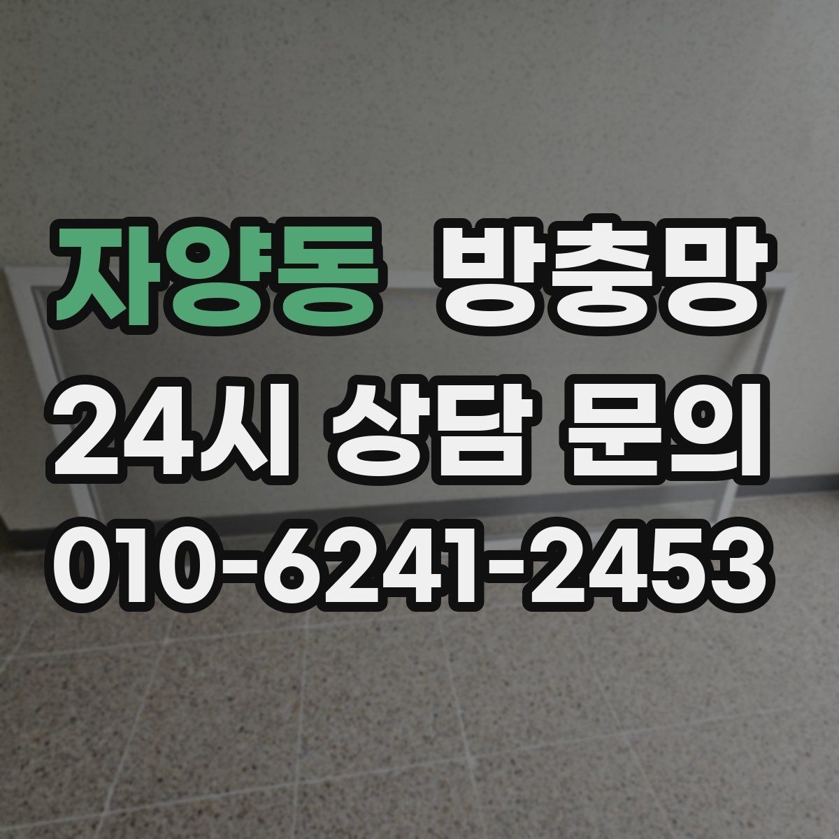 자양동 방충망 간단 점검으로 벌레 유입 줄이는 방법