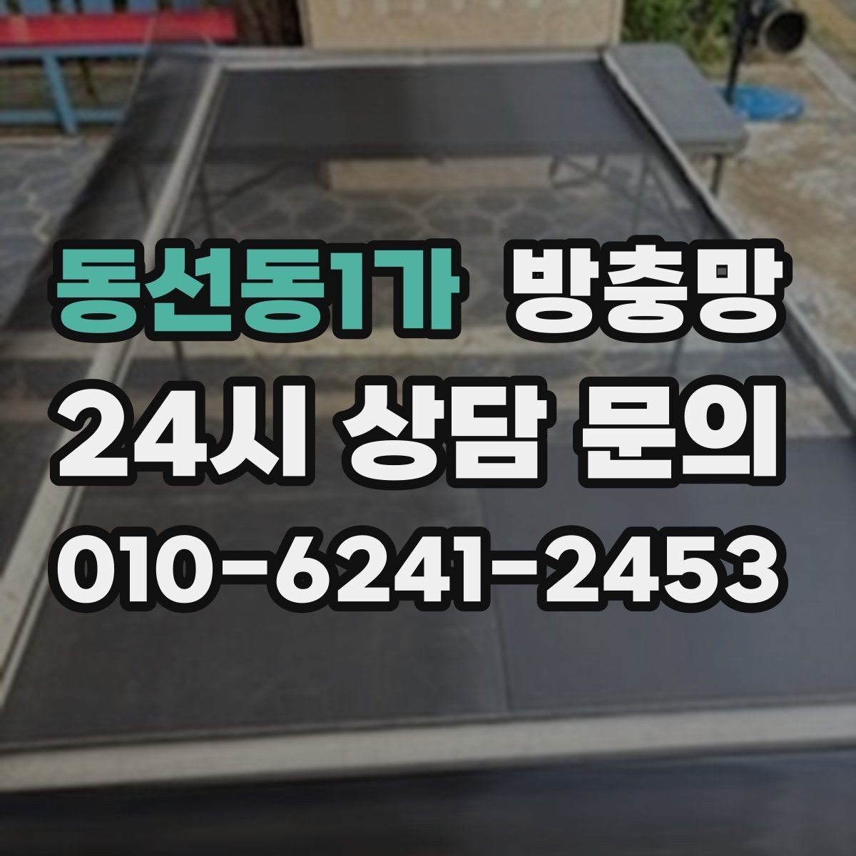 동선동1가 방충망 교체했는데 모기가 보이면 어디를 의심할까