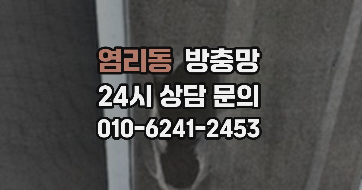 염리동 방충망