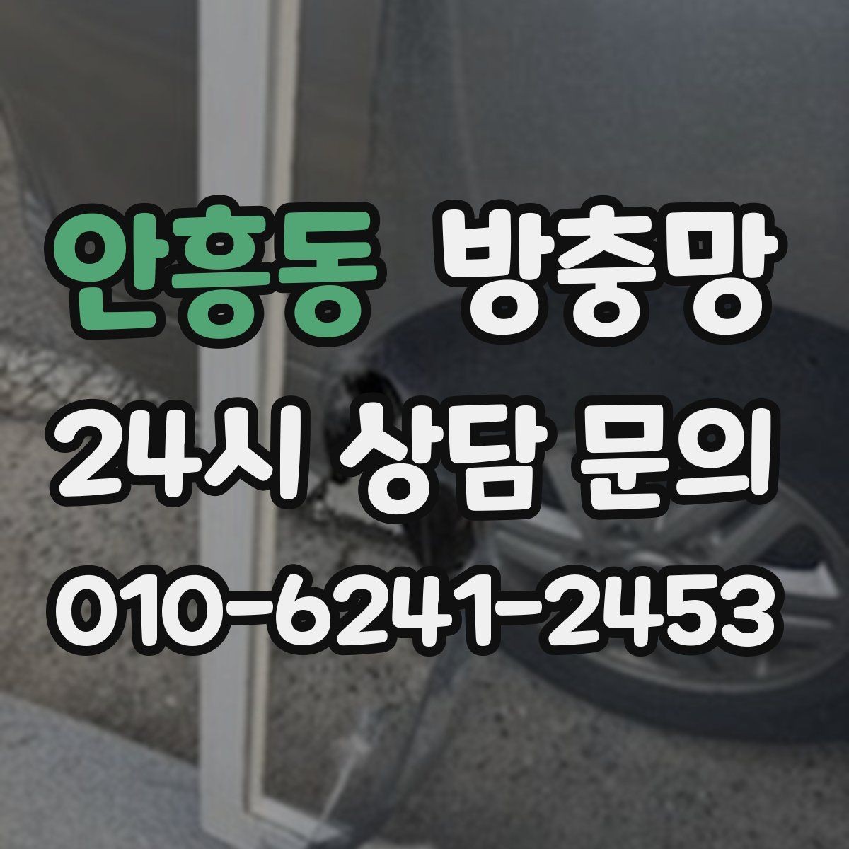 안흥동 방충망 벌레 유입이 반복된다면 틈부터 점검하세요