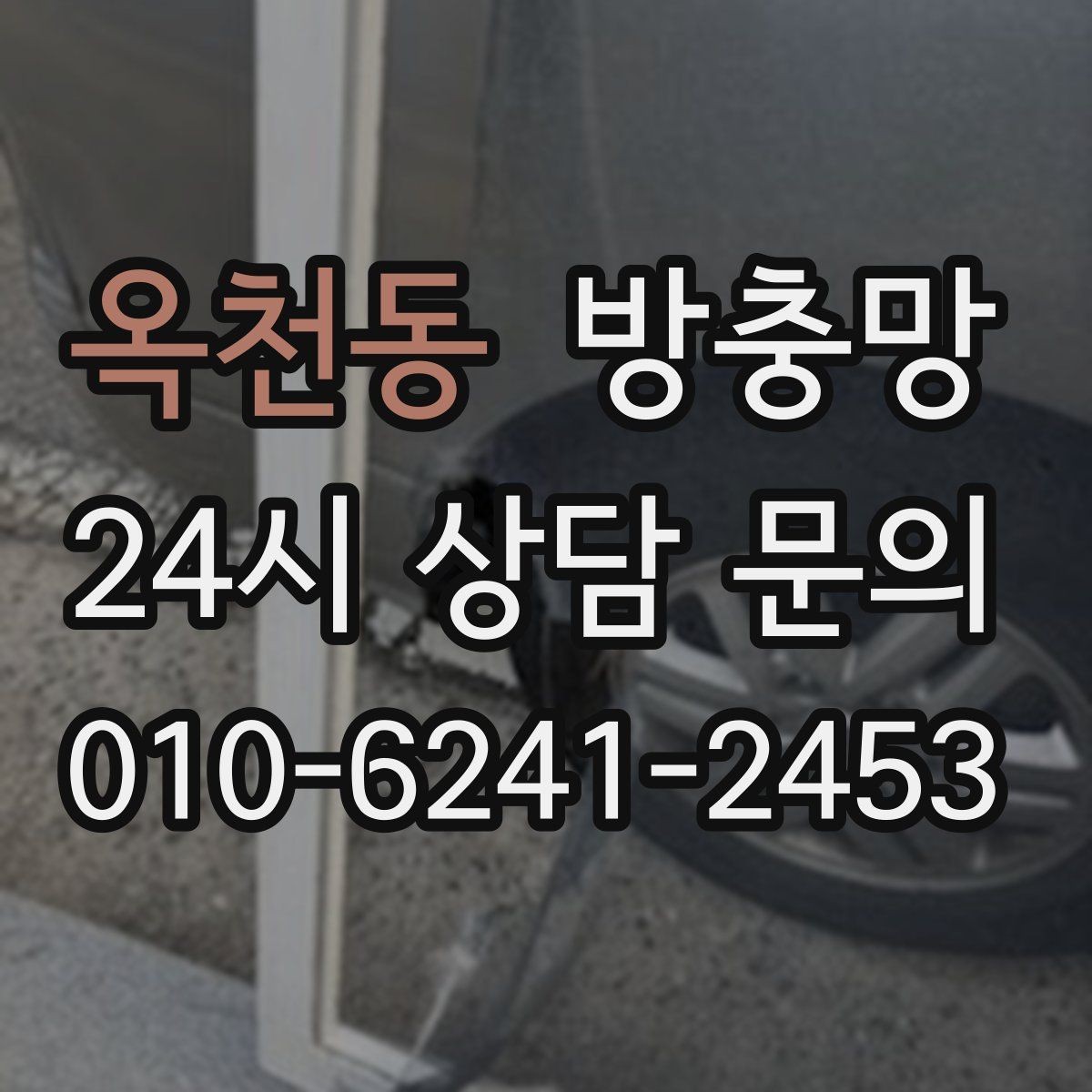 옥천동 방충망 반려동물 있는 집의 수명 늘리는 관리 팁