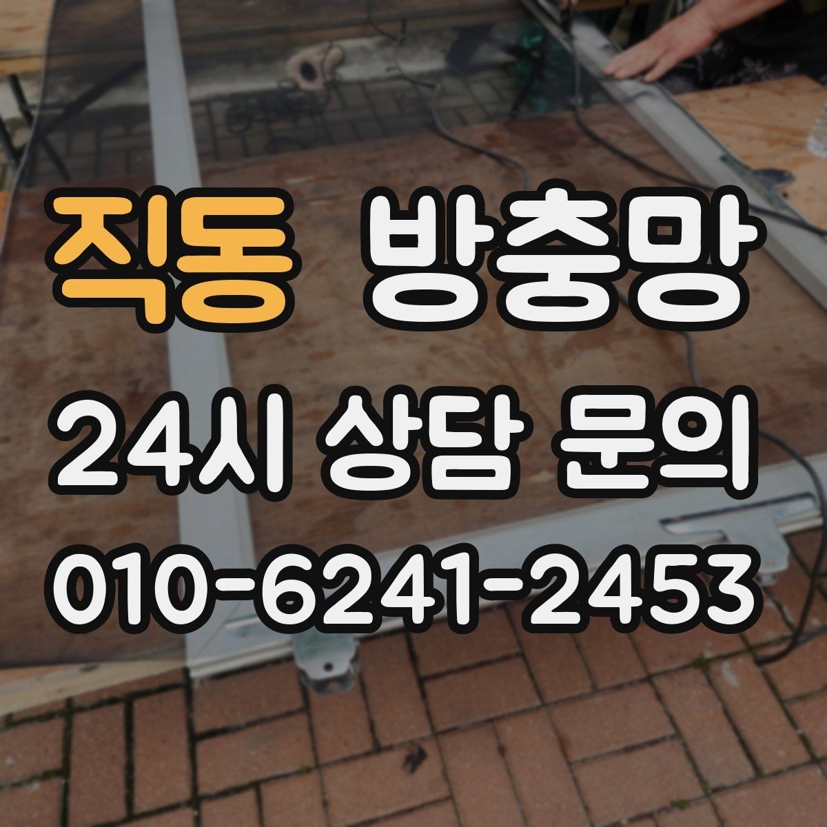 직동 방충망 방충망이 있어도 벌레가 들어오는 이유 5가지