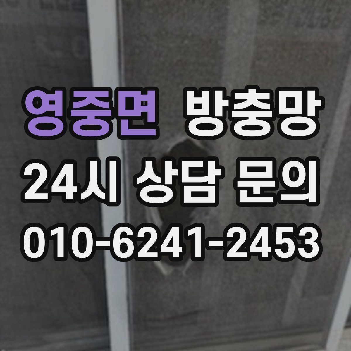 영중면 방충망 조명 켠 창문으로 벌레가 모일 때 대처