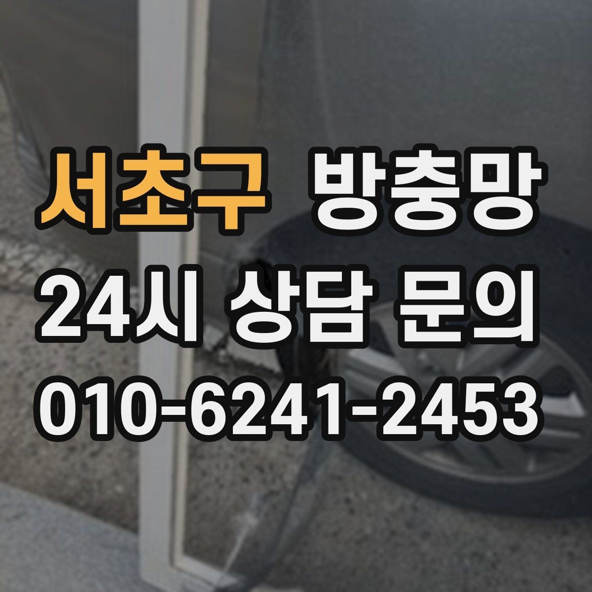 서초구 방충망 창가에 벌레가 몰릴 때 점검해야 할 것