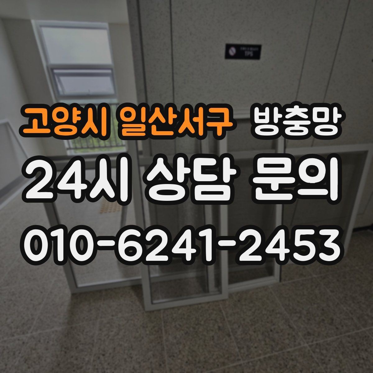 고양시 일산서구 방충망 주변에 나무가 많으면 유입이 늘 수 있어요